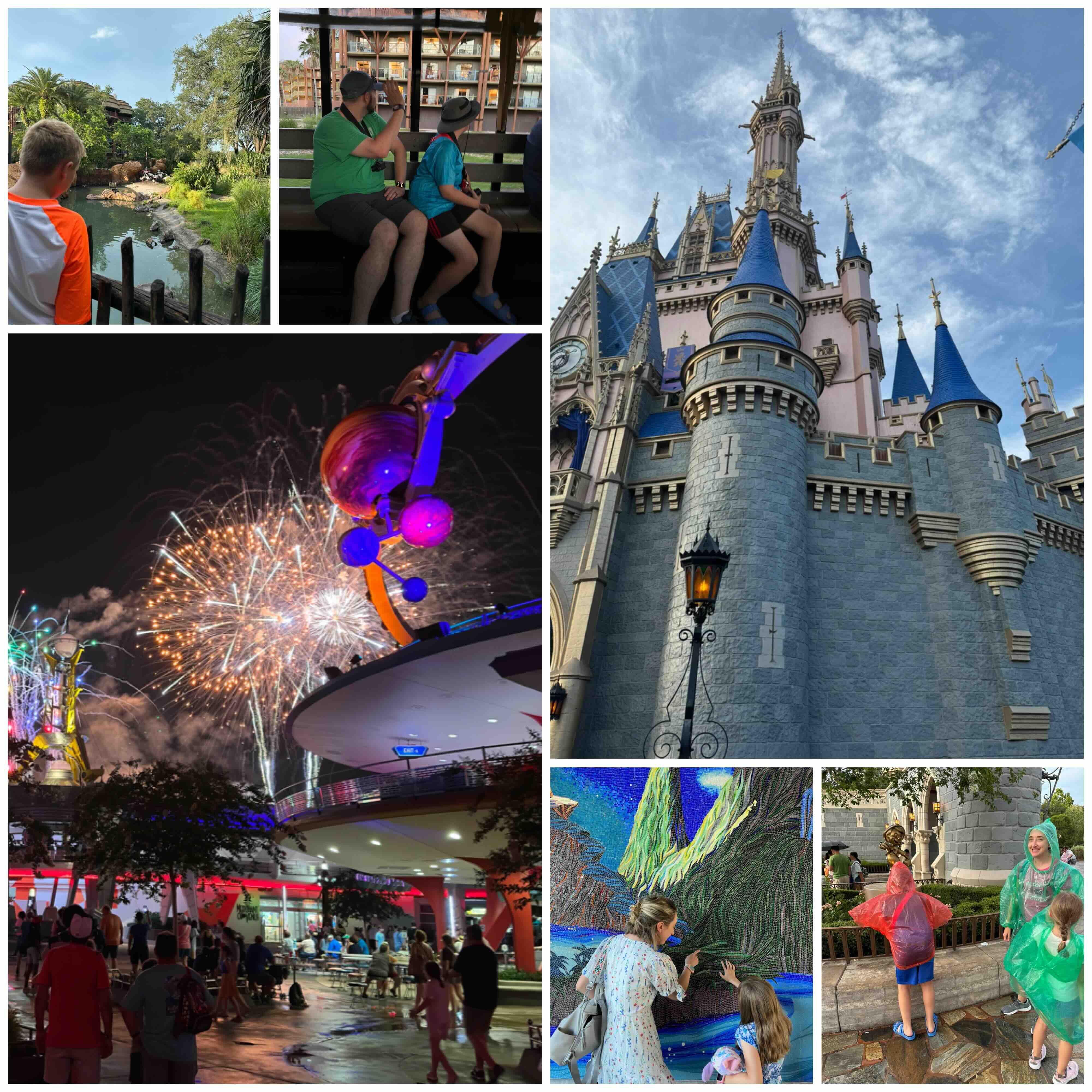 What is Disney World?